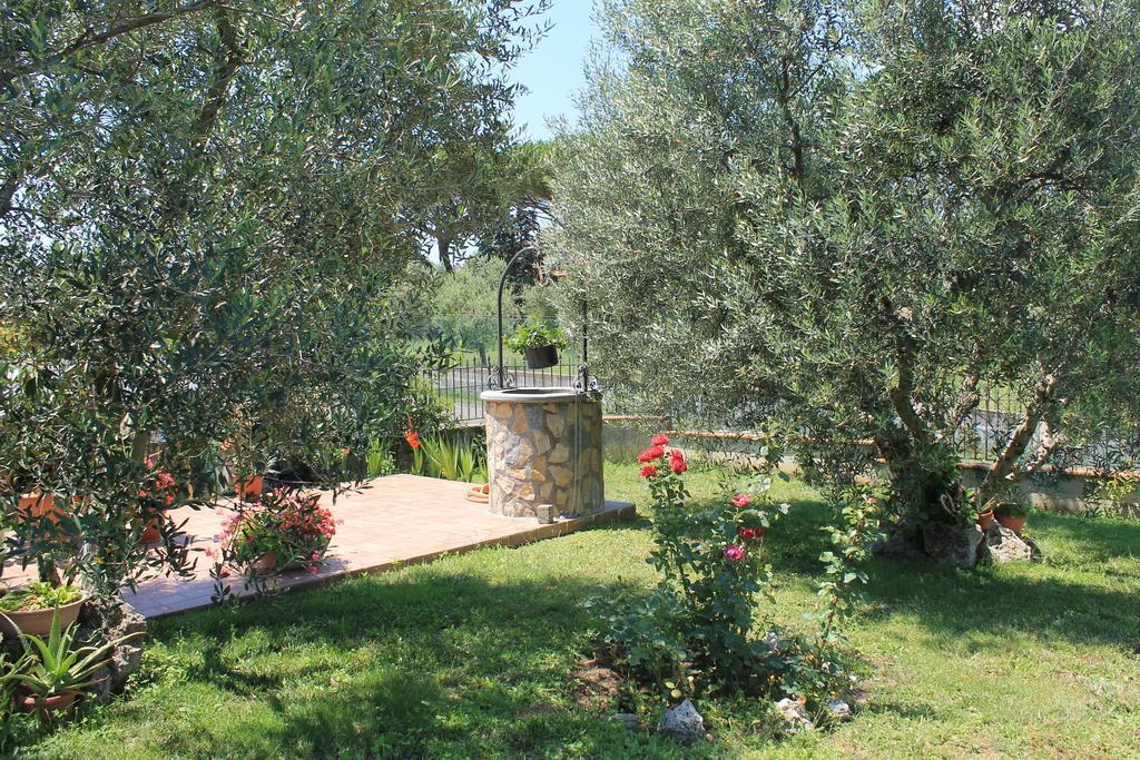 B&B L'Amicizia Montefiascone Kültér fotó